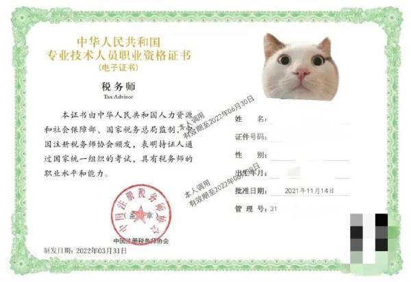 中级审计报名条件有哪些具体要求？-图3