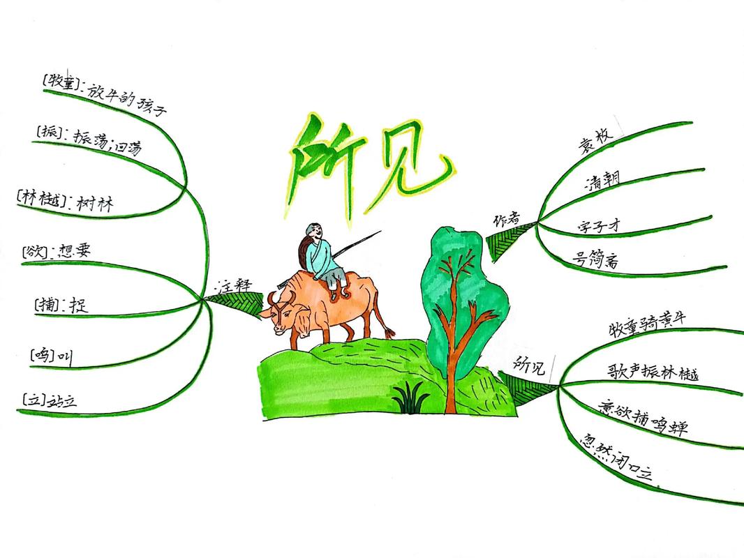 课文思维导图内容该怎么整理?-图1 课文思维导图内容该怎么整理?-图1