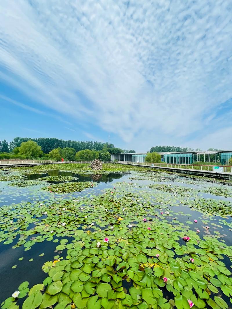 济宁旅游专业录取分数线是多少?-图1 济宁旅游专业录取分数线是多少?-图1