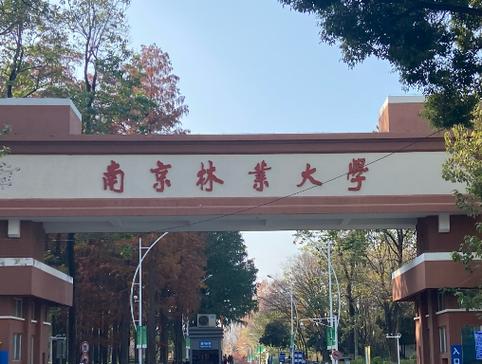 南林与苏大，如何抉择更优？-图3
