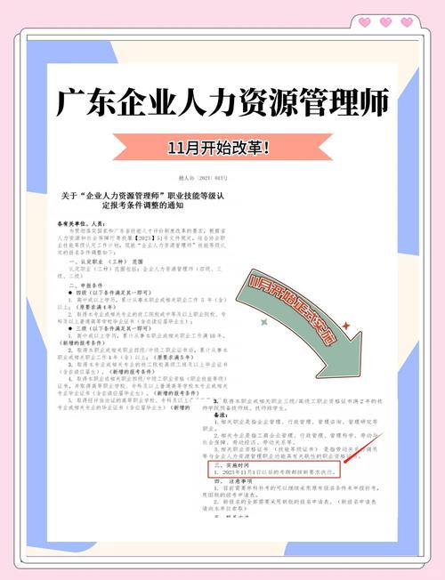 广东人力资源师三级报名条件-图1