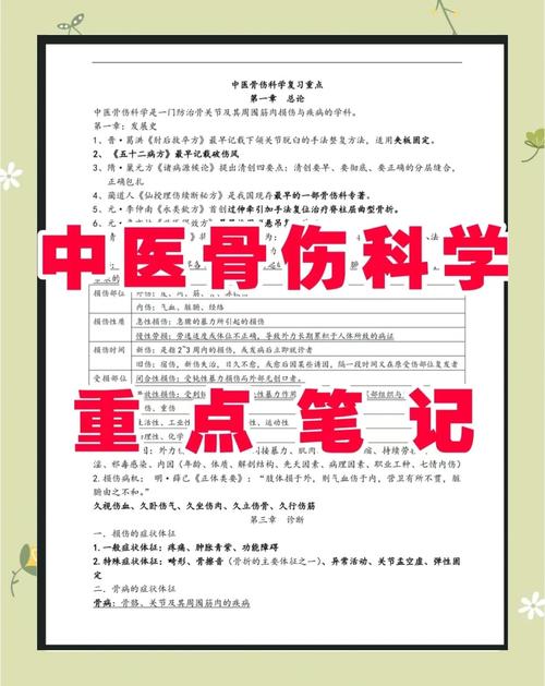 中医骨伤学校怎么选?-图2 中医骨伤学校怎么选?-图2