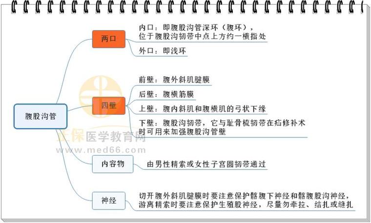 腹中心思维有何独特特征?-图2 腹中心思维有何独特特征?-图2