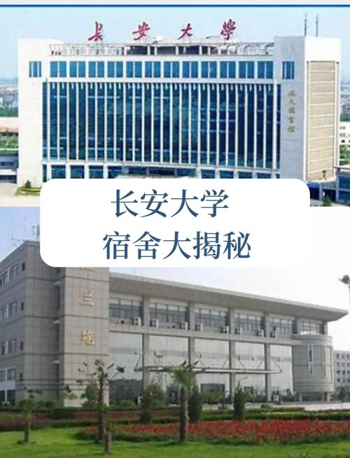 长安大学新生校区怎么分?-图1 长安大学新生校区怎么分?-图1
