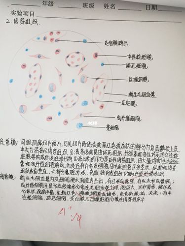 考研肿内肾内如何选?-图1 考研肿内肾内如何选?-图1