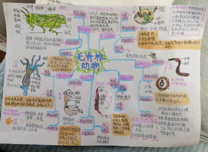 脊椎动物思维从何而来,如何进化?-图2 脊椎动物思维从何而来,如何进化?-图2