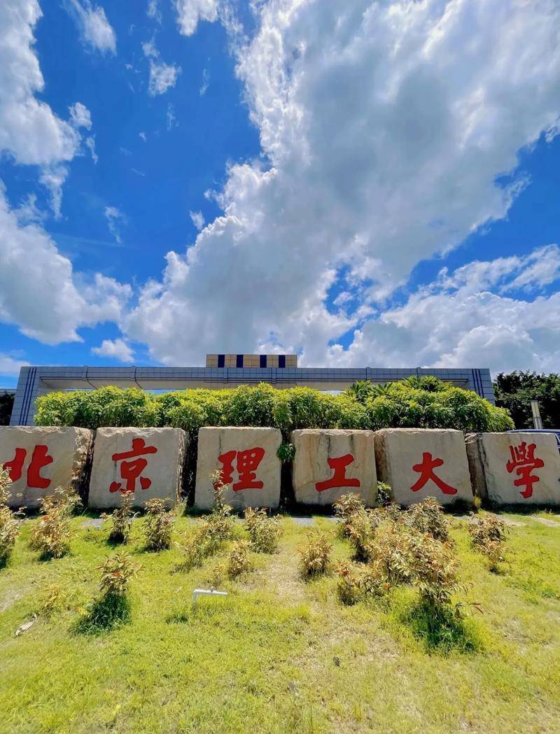 北理双学位哪个好-图1