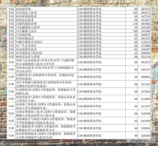 潍坊职教高考录取线具体是多少?-图1 潍坊职教高考录取线具体是多少?-图1