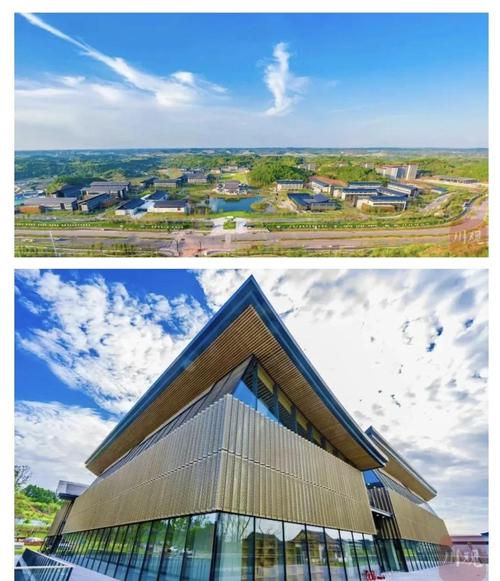 川音歌剧系到底在哪个校区？-图3