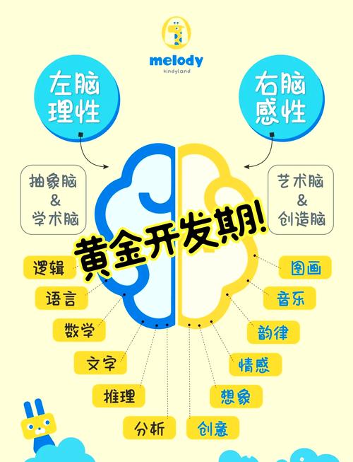 右脑思维的人，天赋优势与认知边界在哪？-图1