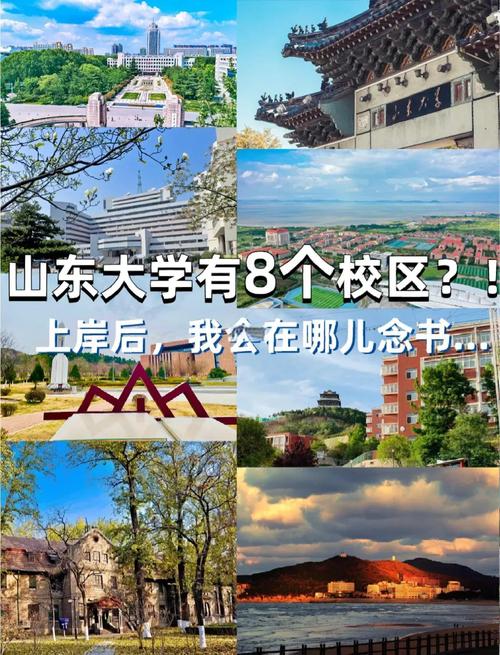 济南大学和东财,选哪所更合适?-图2 济南大学和东财,选哪所更合适?-图2