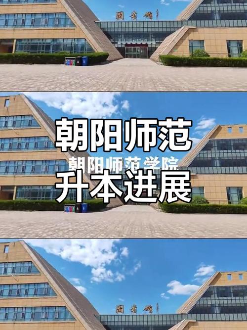 朝阳师范录取率多少能上?-图2 朝阳师范录取率多少能上?-图2