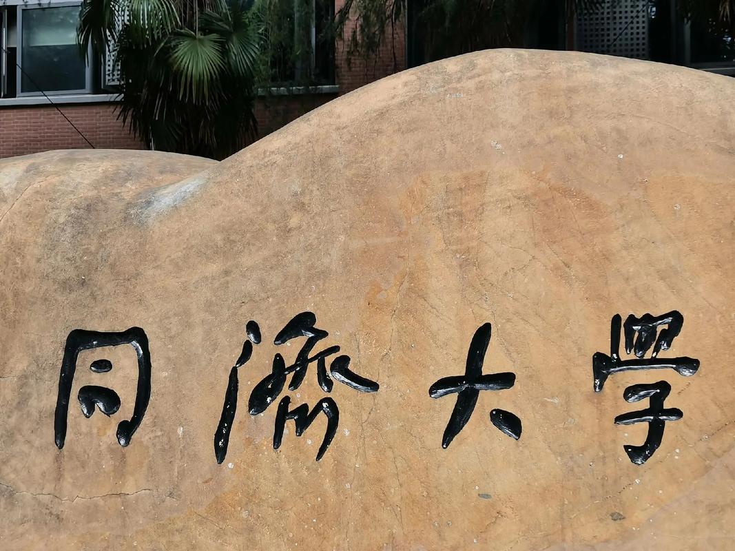 同济管科哪个方向最厉害-图2 同济管科哪个方向最厉害-图2