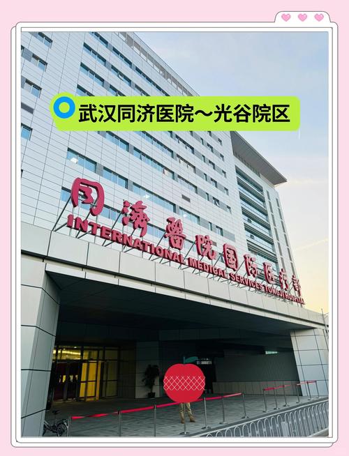 同济管科哪个方向最厉害-图1 同济管科哪个方向最厉害-图1