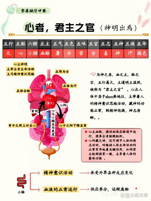 强迫思维 中医-图3 强迫思维 中医-图3