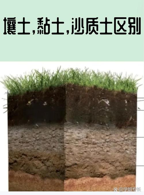 哪个土层较宜做天然土层-图1 哪个土层较宜做天然土层-图1