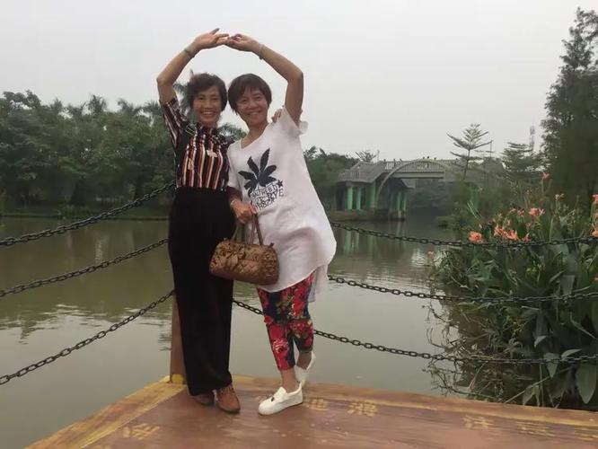 新会圭小今年录取了多少学生？-图3