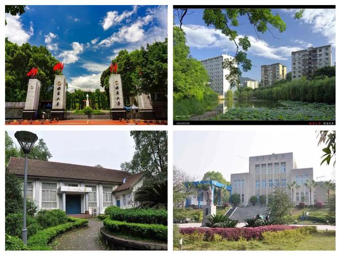 西南大学金融专硕属于哪个学院？-图2