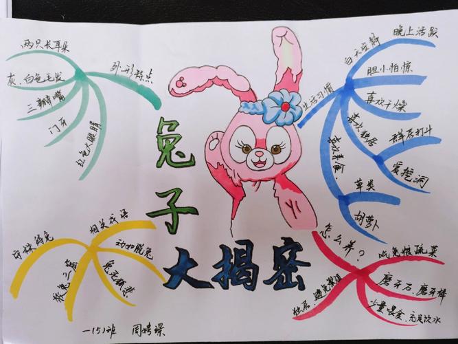 兔子思维导图是什么?如何绘制?-图1 兔子思维导图是什么?如何绘制?-图1