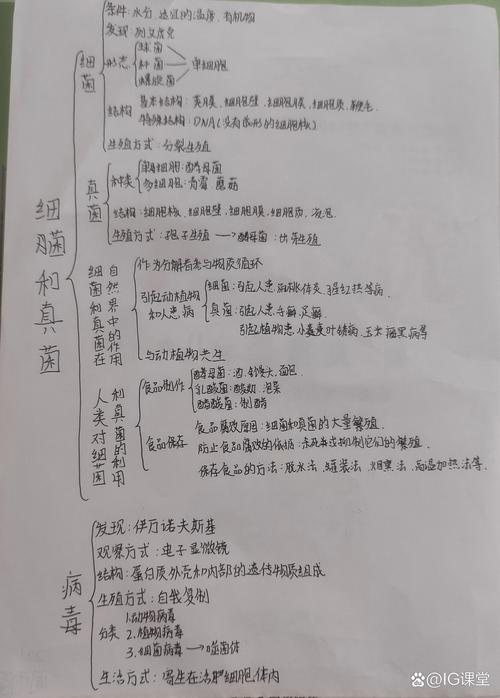 生物思维导图八上,如何构建高效知识体系?关键考点与记忆技巧有哪些?-图1 生物思维导图八上,如何构建高效知识体系?关键考点与记忆技巧有哪些?-图1