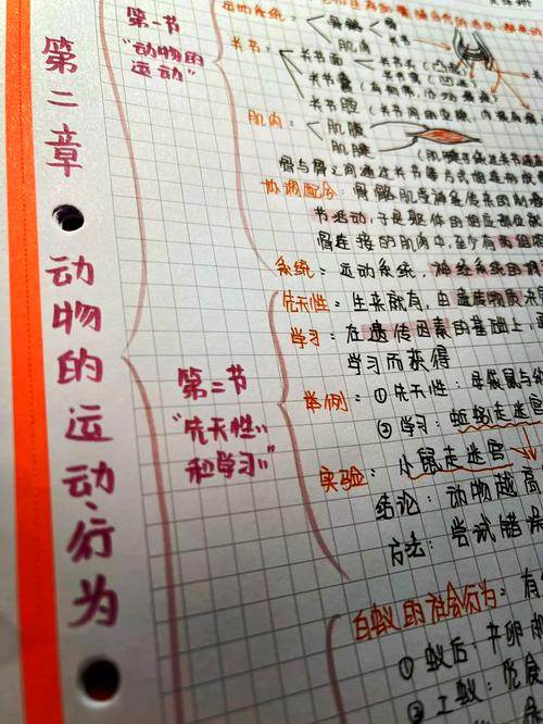 生物思维导图八上,如何构建高效知识体系?关键考点与记忆技巧有哪些?-图3 生物思维导图八上,如何构建高效知识体系?关键考点与记忆技巧有哪些?-图3