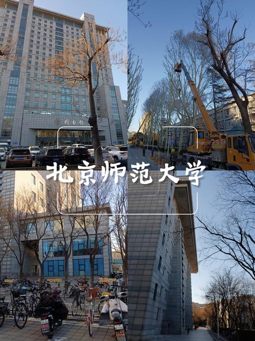 上师大考研校区选择攻略,徐汇、奉贤校区哪个更合适?考试安排与注意事项全解析-图3 上师大考研校区选择攻略,徐汇、奉贤校区哪个更合适?考试安排与注意事项全解析-图3