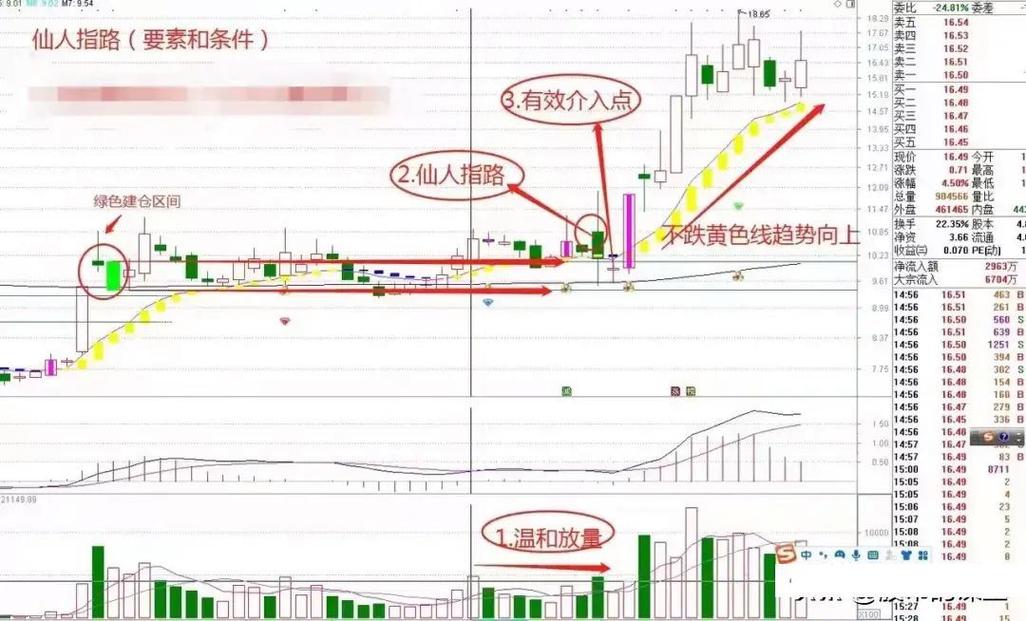 腾飞K线与思维,如何用K线语言解码市场情绪,实现认知跃迁?-图3 腾飞K线与思维,如何用K线语言解码市场情绪,实现认知跃迁?-图3