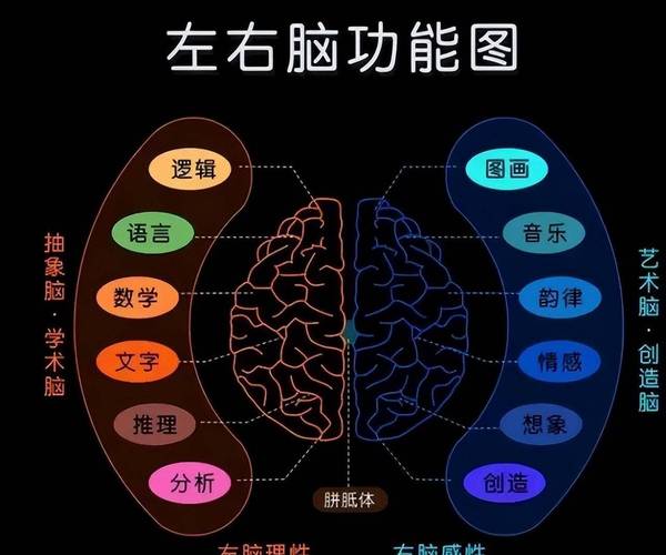 如何通过右脑思维图提升创造力与逻辑思维的协同能力?-图1 如何通过右脑思维图提升创造力与逻辑思维的协同能力?-图1