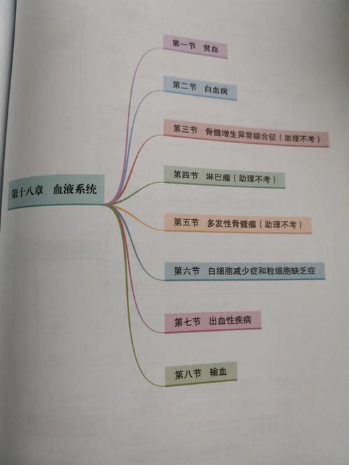 血思维导图如何突破传统导图局限?它在知识整合与创新中扮演什么角色?-图2 血思维导图如何突破传统导图局限?它在知识整合与创新中扮演什么角色?-图2