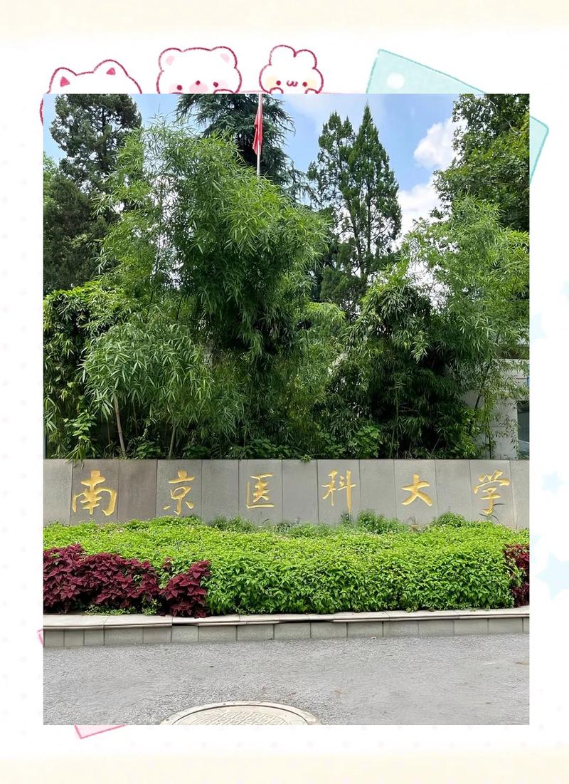 南京医学院具体位于南京哪个区?周边交通与生活配套如何?-图2 南京医学院具体位于南京哪个区?周边交通与生活配套如何?-图2