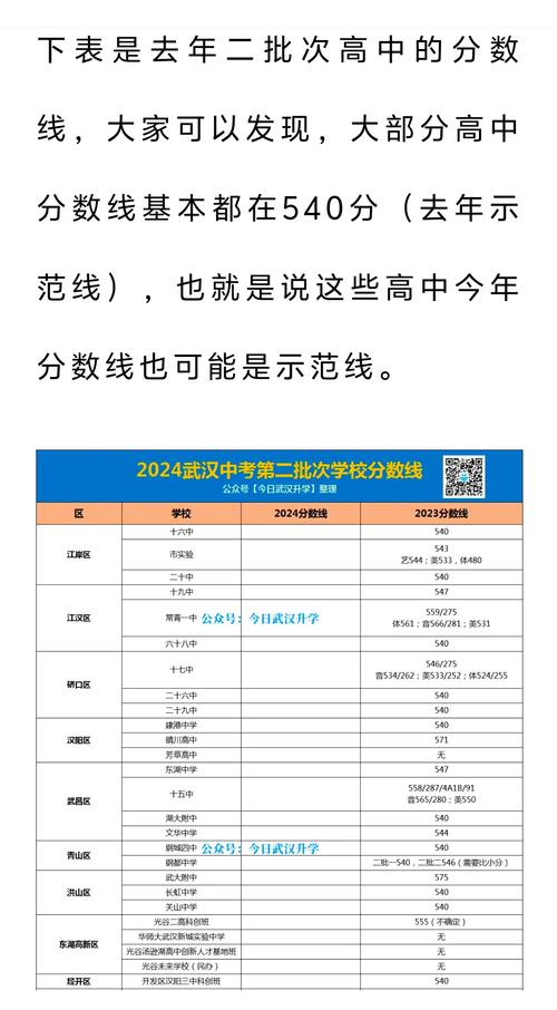 武汉东湖中学录取分数线是多少?-图3 武汉东湖中学录取分数线是多少?-图3