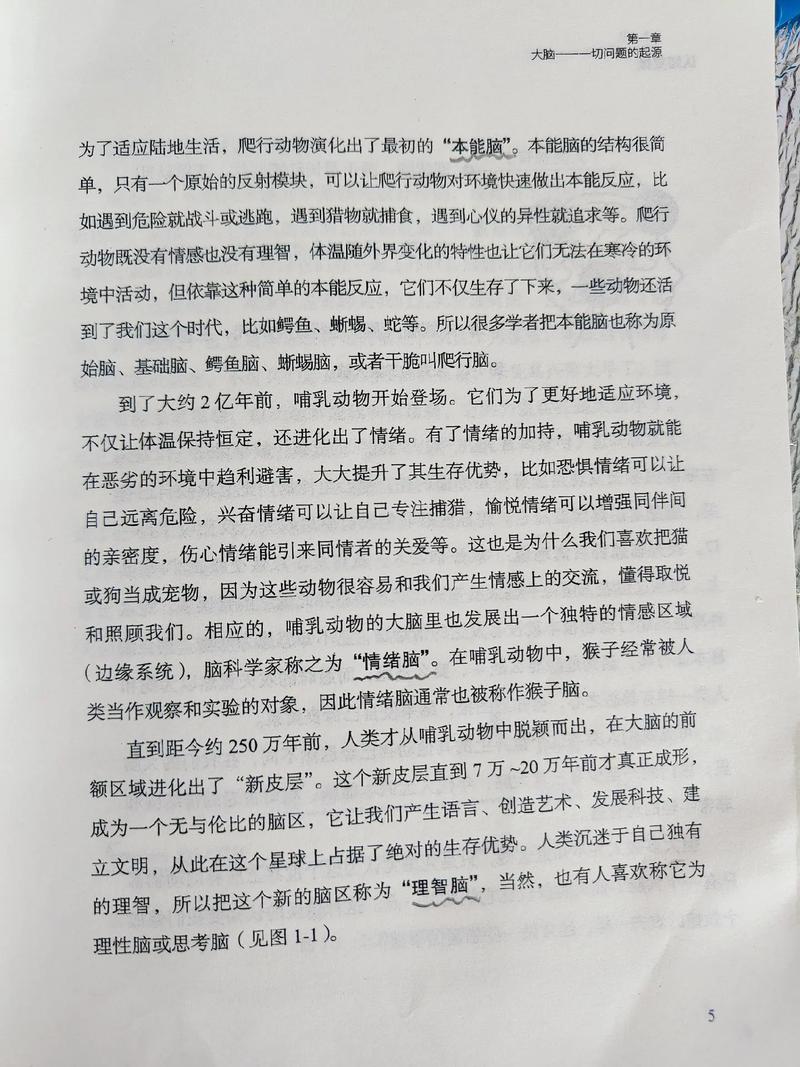 思维究竟是被什么影响的?-图2 思维究竟是被什么影响的?-图2