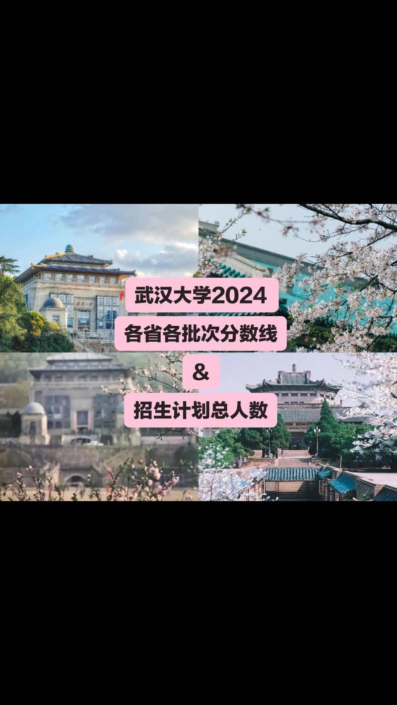 2025武大录取线会是多少?-图2 2025武大录取线会是多少?-图2