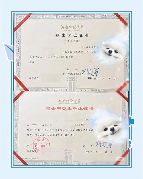 哪些师范院校提供在职双证?-图3 哪些师范院校提供在职双证?-图3