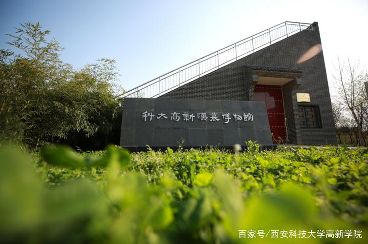 胶州西安大学报名条件有哪些？-图3