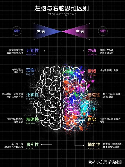 右脑左脑思维，如何协同互补？-图3
