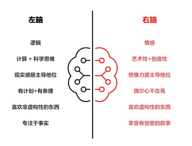 右脑左脑思维,如何协同互补?-图1 右脑左脑思维,如何协同互补?-图1