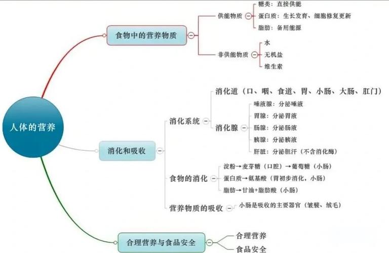 营养思维导图，怎么画才高效实用？-图2