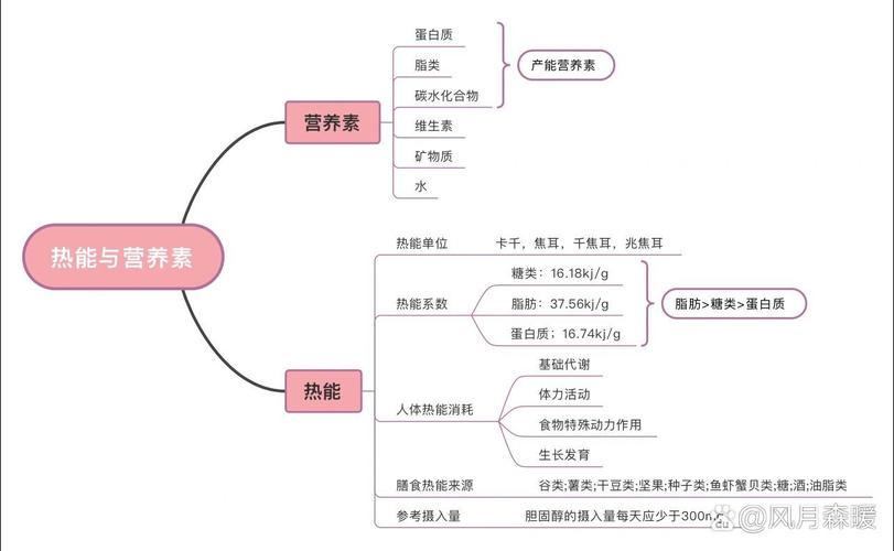 营养思维导图，怎么画才高效实用？-图1