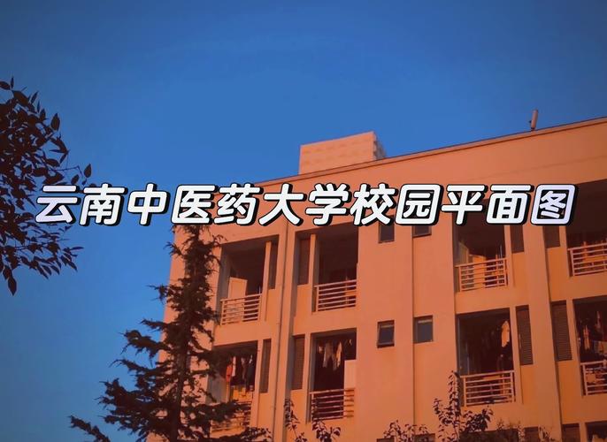 学中药学选校，哪些学校实力强？-图2