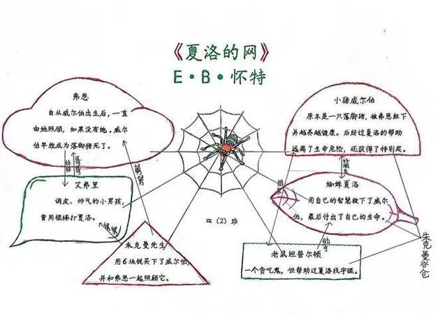 思维导图夏洛的网-图3