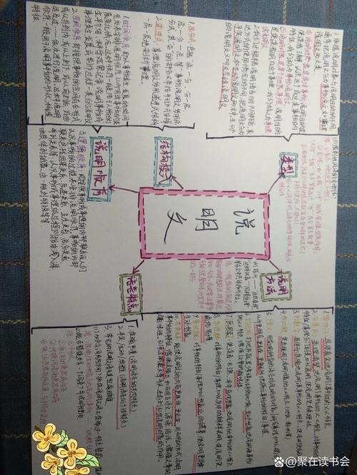 说明文思维导图-图2