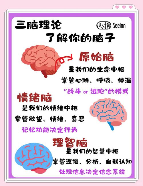 大脑密码思维是什么?-图2 大脑密码思维是什么?-图2