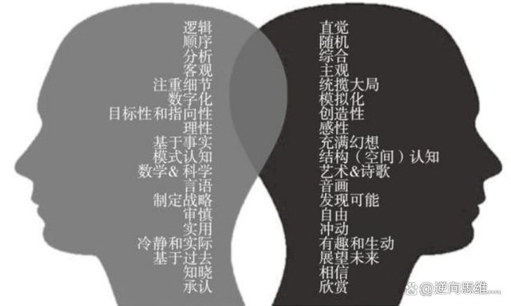 西方人思维模式-图3