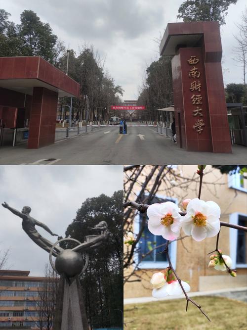 南财和南信哪个学校好-图1 南财和南信哪个学校好-图1