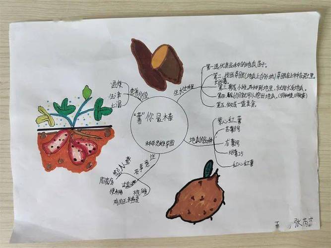 农业嘉年华思维导图如何构建应用价值?-图1 农业嘉年华思维导图如何构建应用价值?-图1