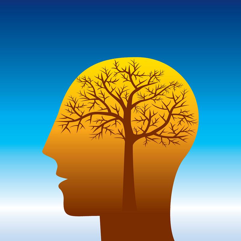 形象思维如何用图片呈现？-图2