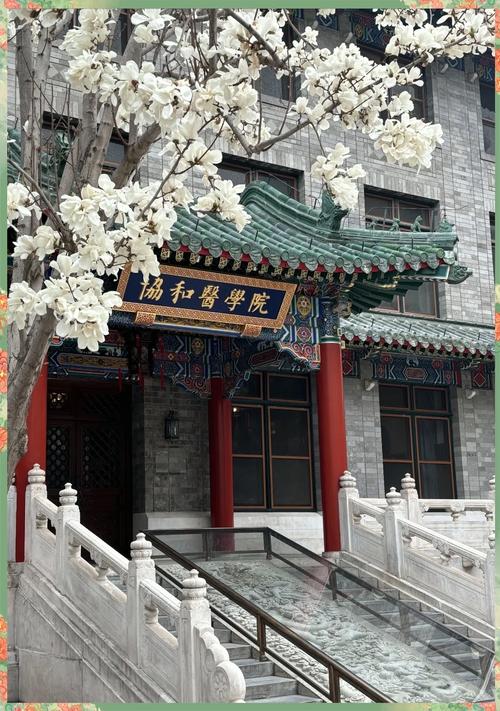 协和与中科院，选哪个更合适？-图2