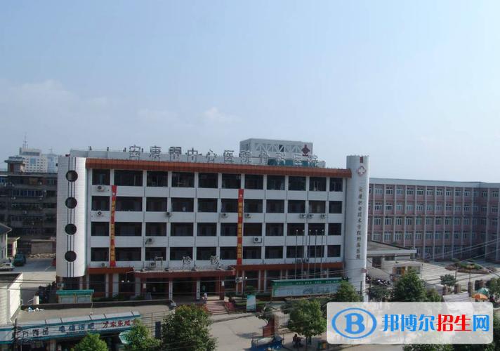 渭南卫校录取分数线是多少？-图2