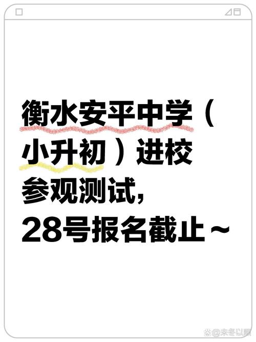 衡水安平中学录取分多少-图3